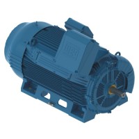 W50 Industrial Motor – High Voltage