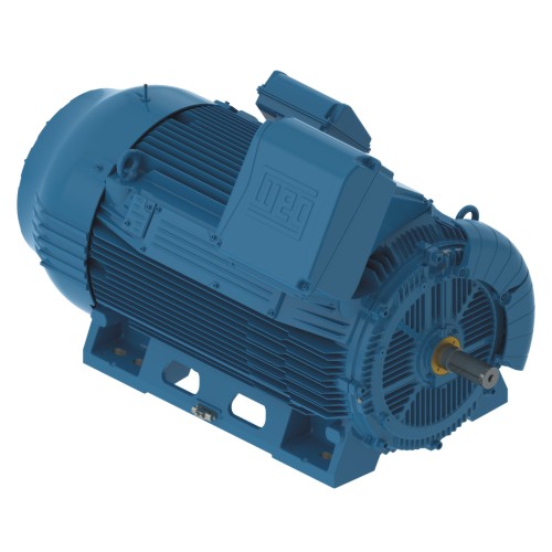 W50 Industrial Motor – High Voltage